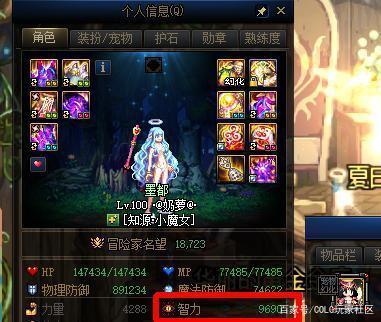 dnf公益服发布网史上最便宜的良心礼包，时装加宠物只要1314点券1002