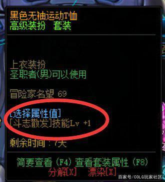 地下城私服代码提取器845